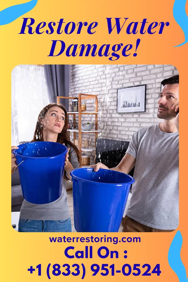 water restoration Solid Water Repair Masters Pollard